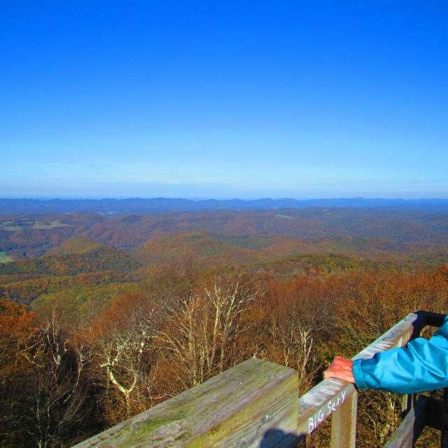 Bickle Knob Observation Tower Elkins Randolph County Tourism