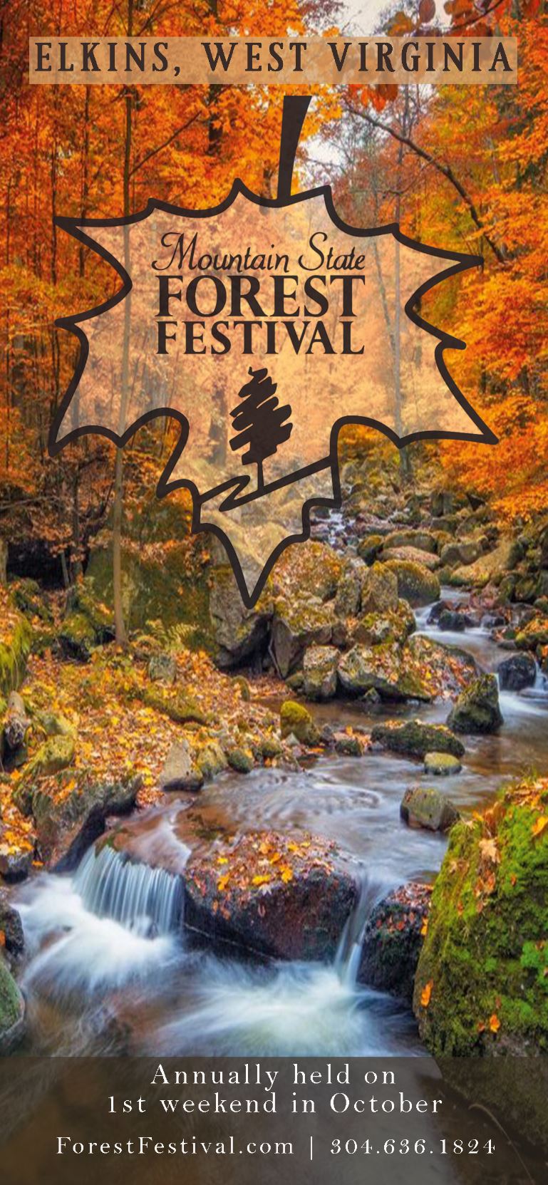 Mountain State Forest Festival 
