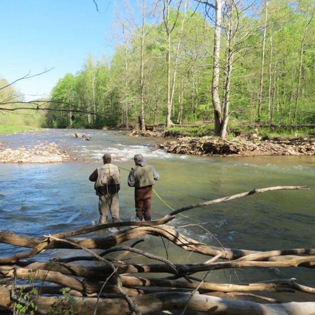 Elkfisher s - Elkins-Randolph County Tourism