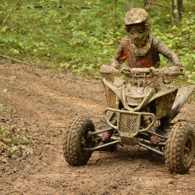 Mountain State Forest Festival ElkinsRandolph County Tourism