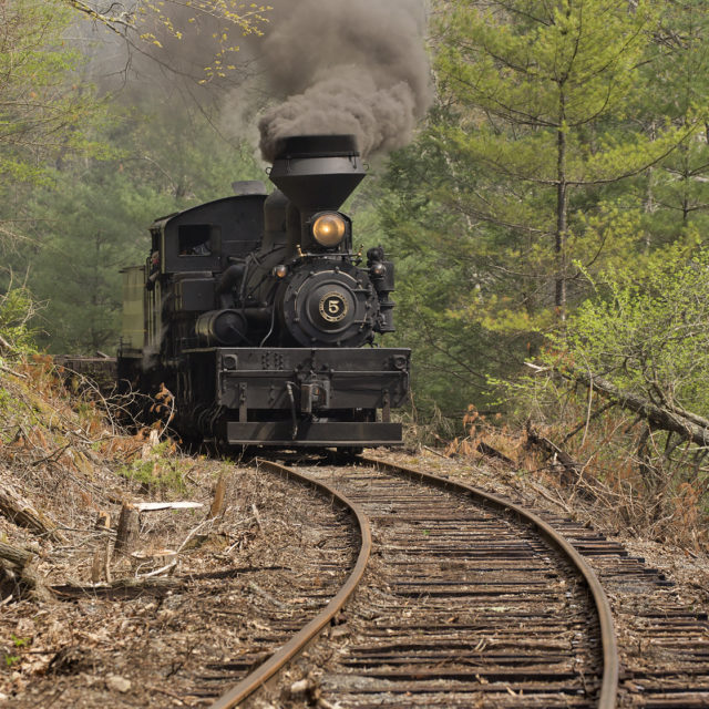 Cass Scenic Railroad ElkinsRandolph County Tourism