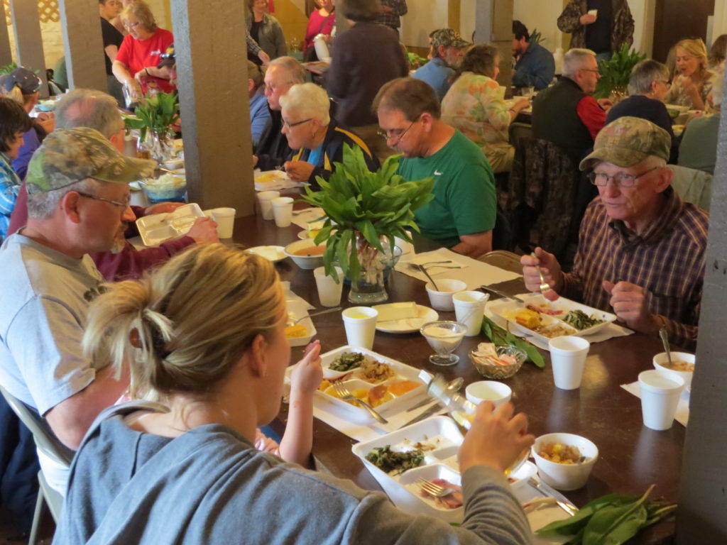 Savoring Spring: Ramp Season in Randolph County - Elkins-Randolph ...