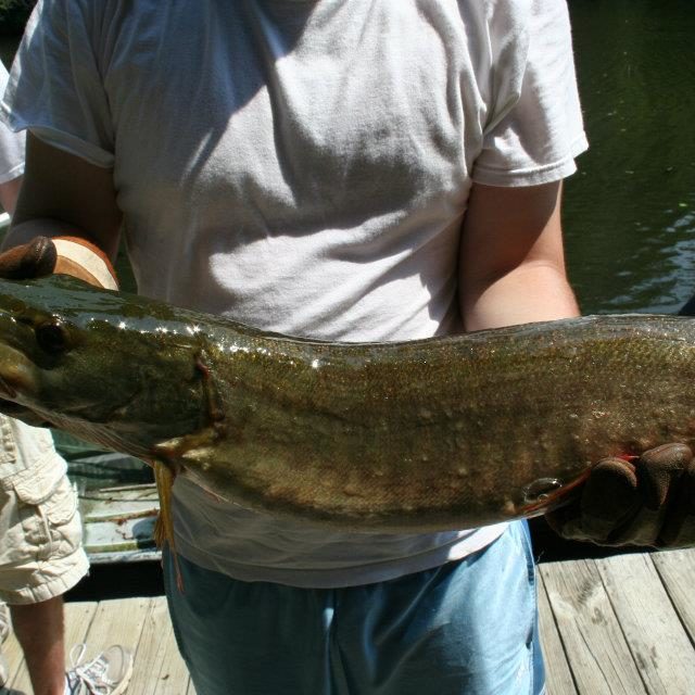 Tygart Valley River ElkinsRandolph County Tourism