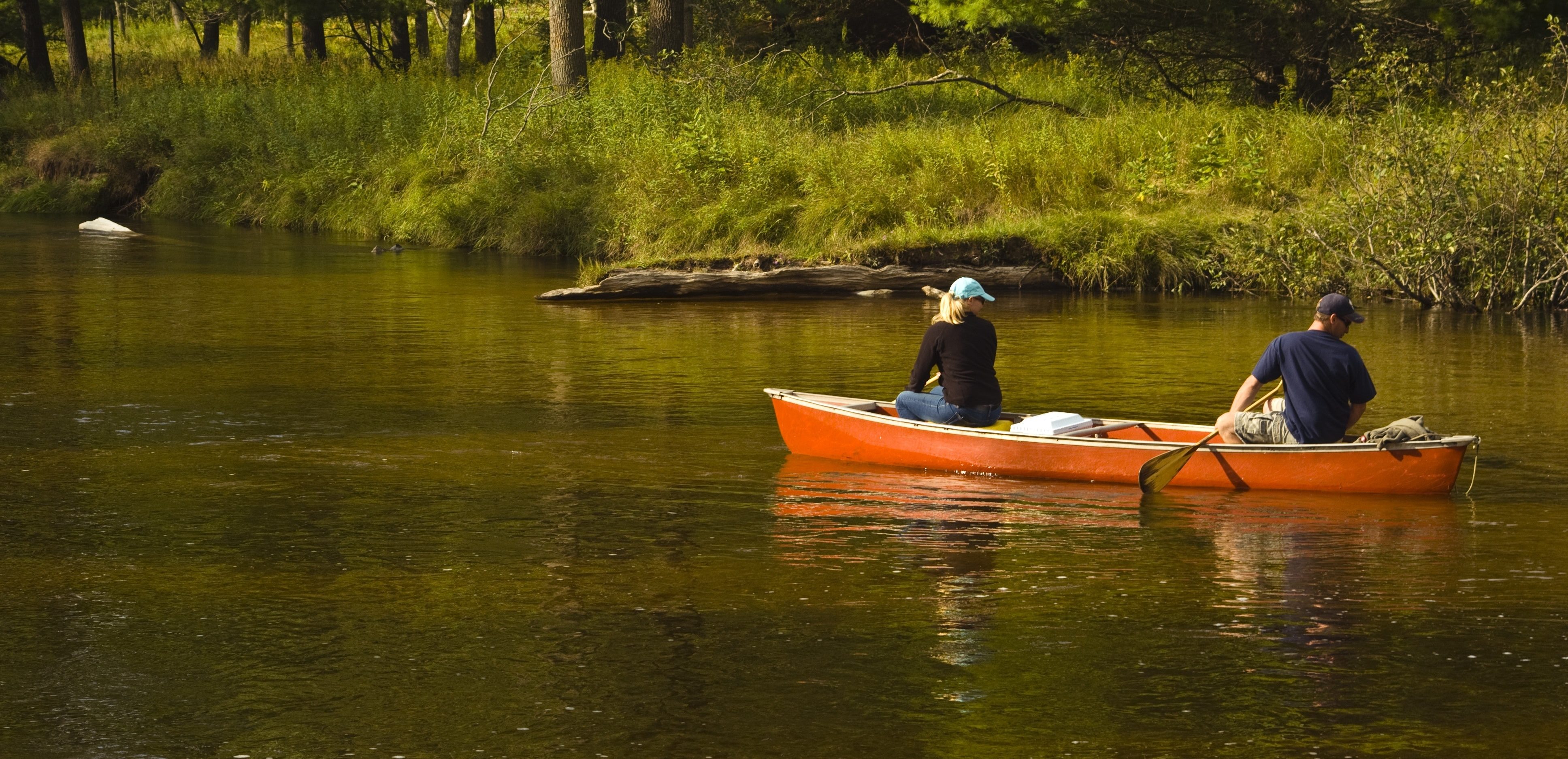 Shavers Fork Adventures ElkinsRandolph County Tourism