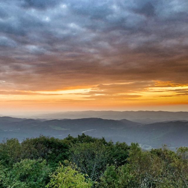 Bickle Knob Observation Tower - Elkins-Randolph County Tourism