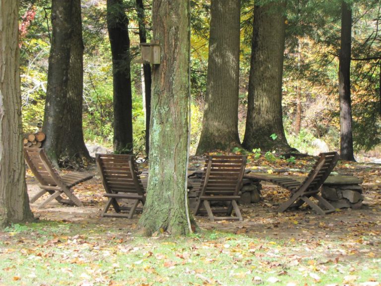Shavers Fork Cabins ElkinsRandolph County Tourism