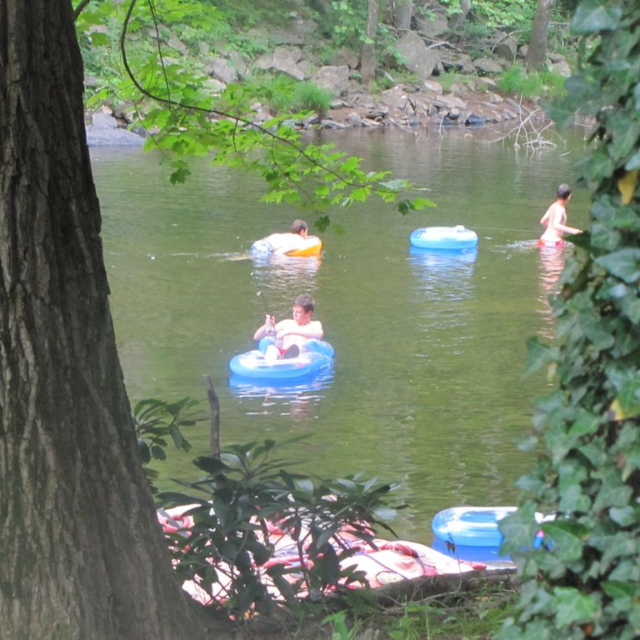 Shavers Fork Cabins ElkinsRandolph County Tourism