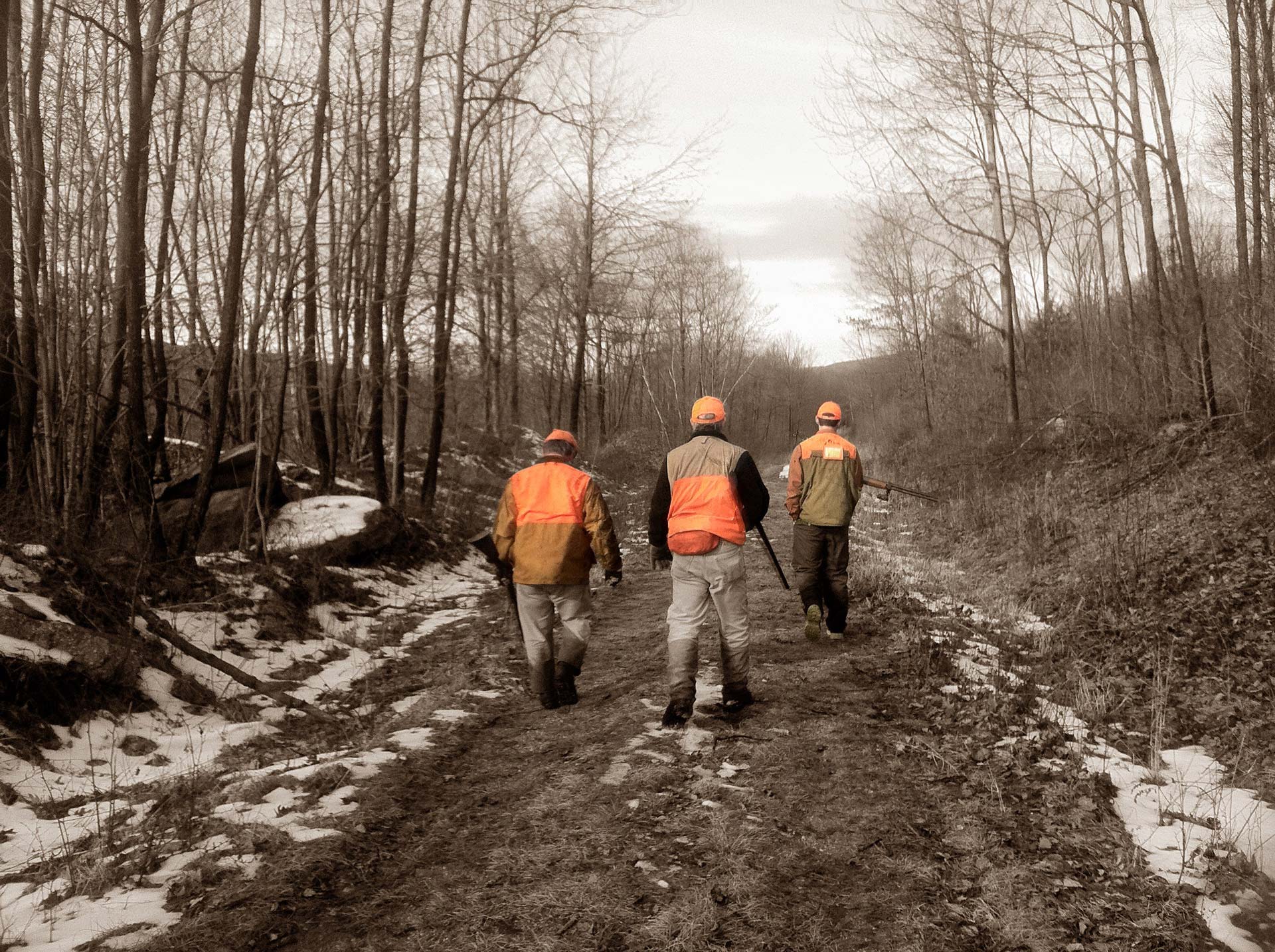 Your Guide to Hunting in RandolphWV ElkinsRandolph County Tourism