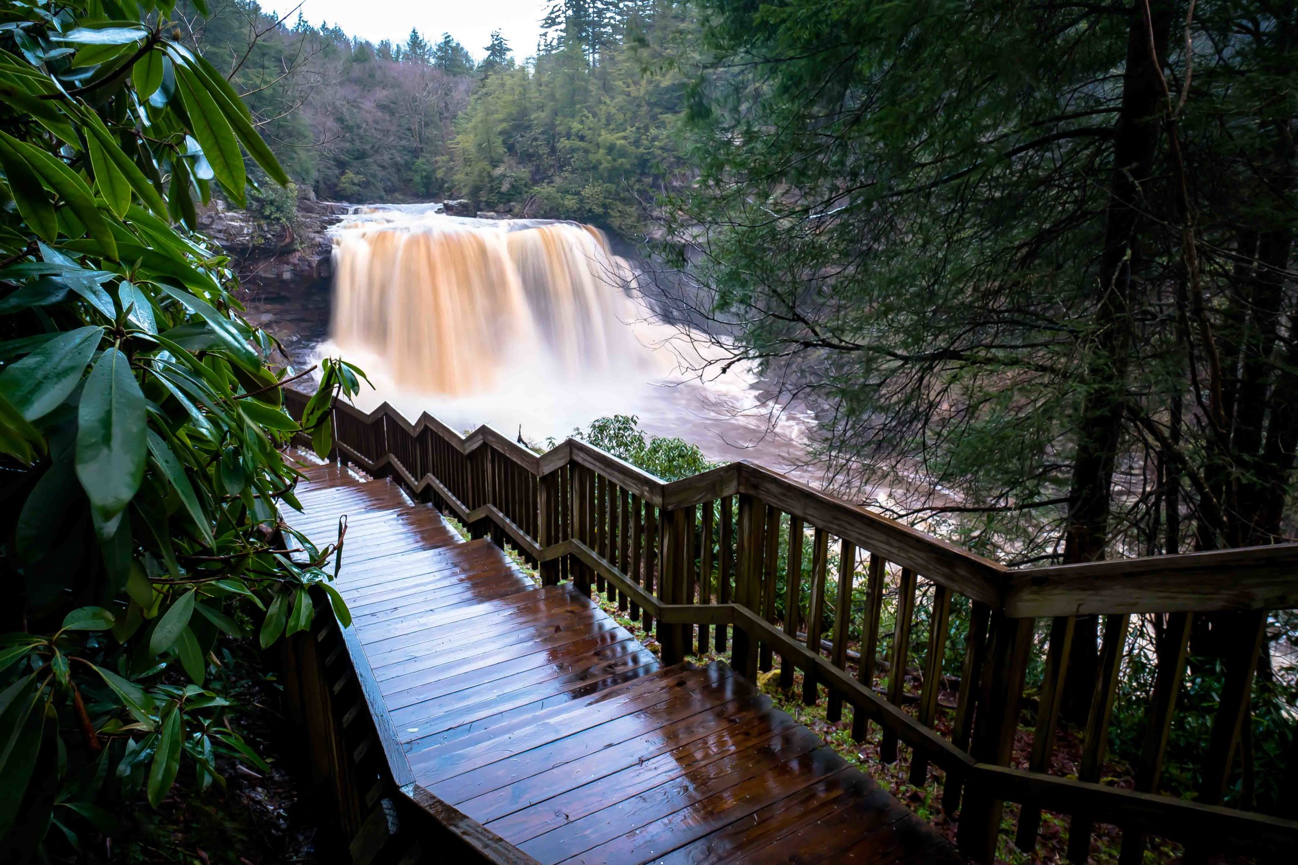 Natural Attractions Iconic To RandolphWV Elkins Randolph County Tourism