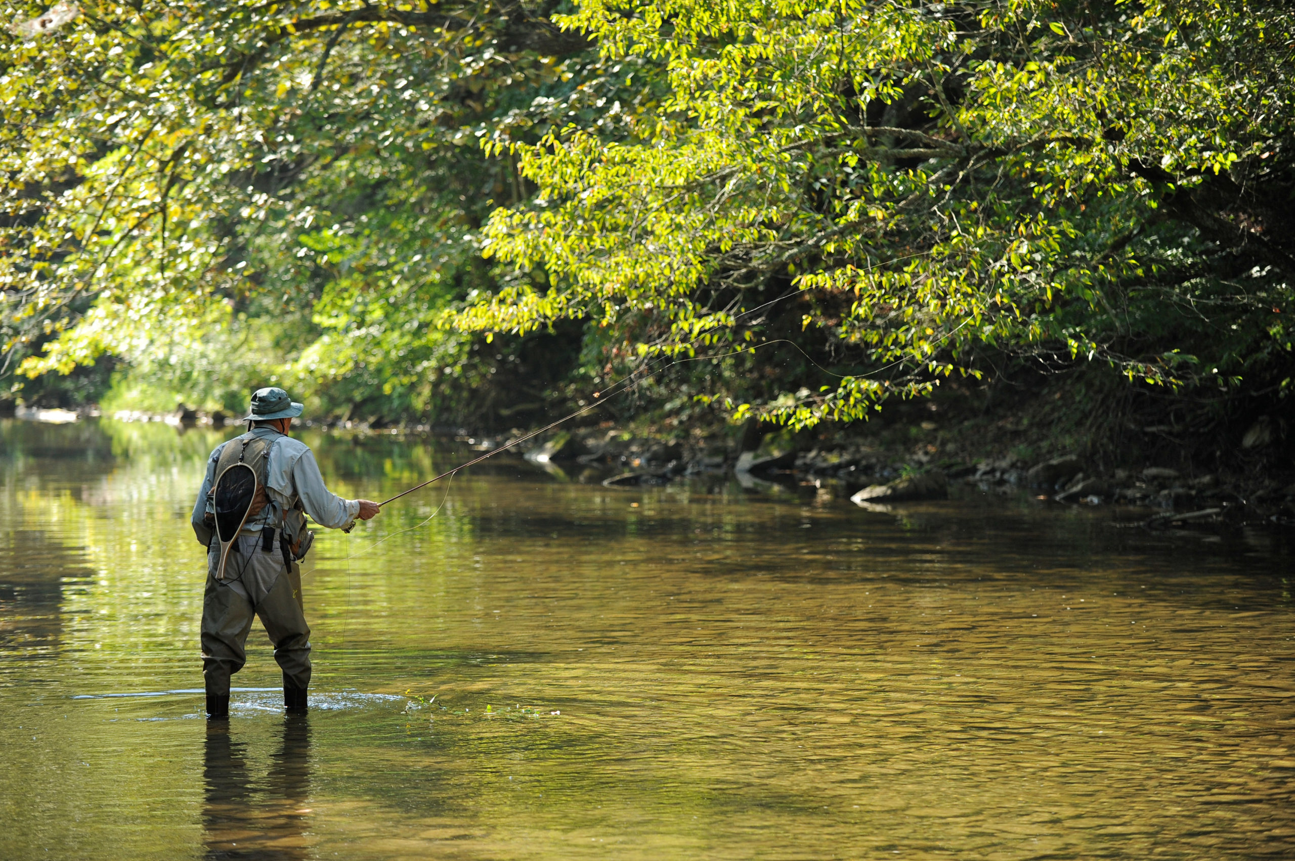 Fishing - Elkins-Randolph County Tourism