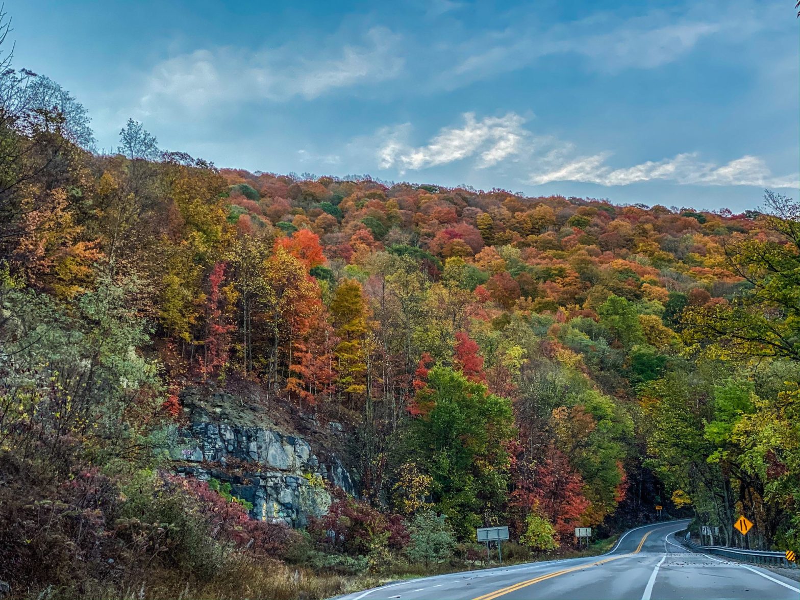 Randolph%20County%20Fall%20Foliage%20Update%20-%20Elkins-Randolph%20County%20Tourism