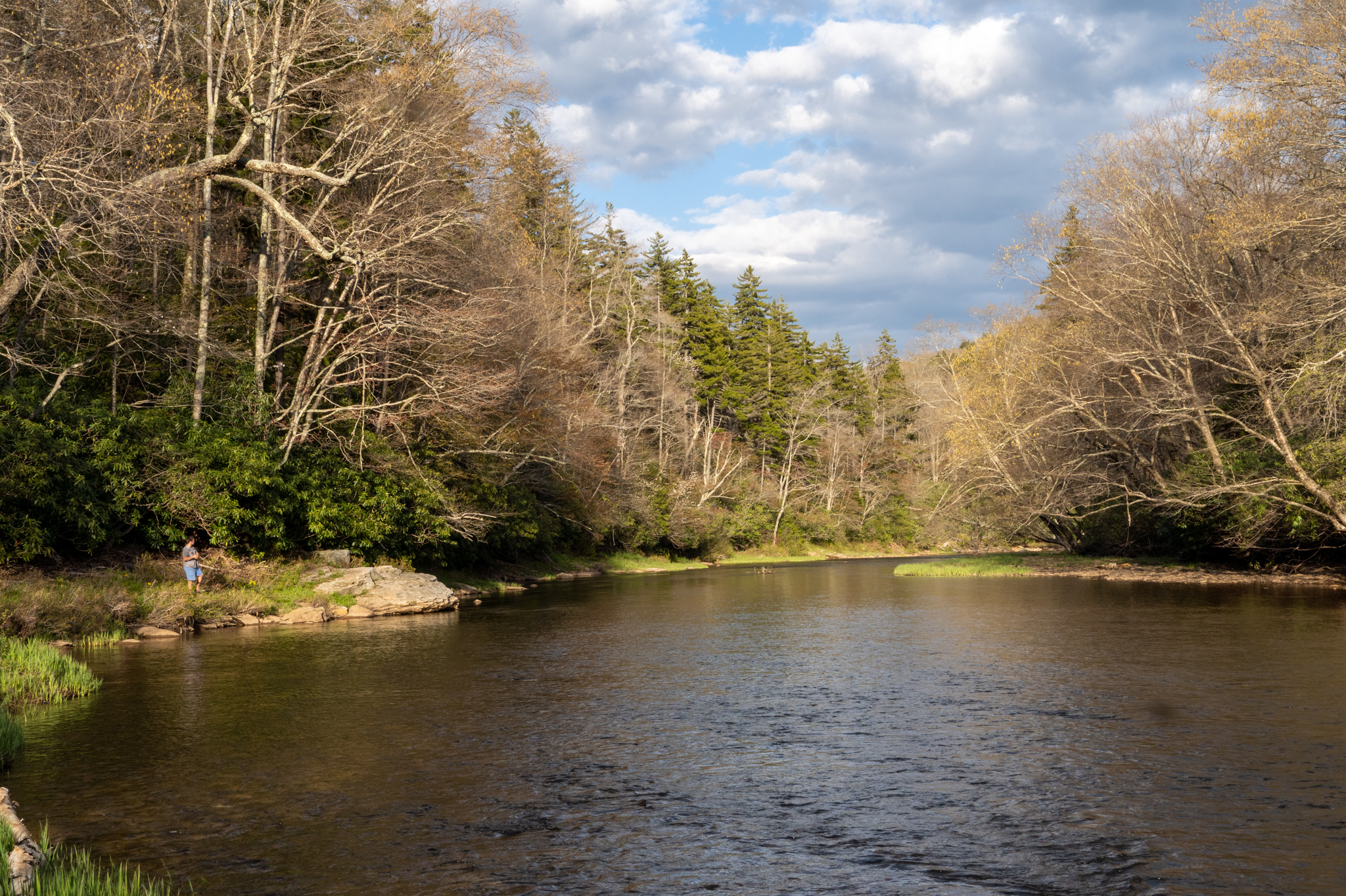 Cheat River Trout: To Keep or Release? - Highland Outdoors