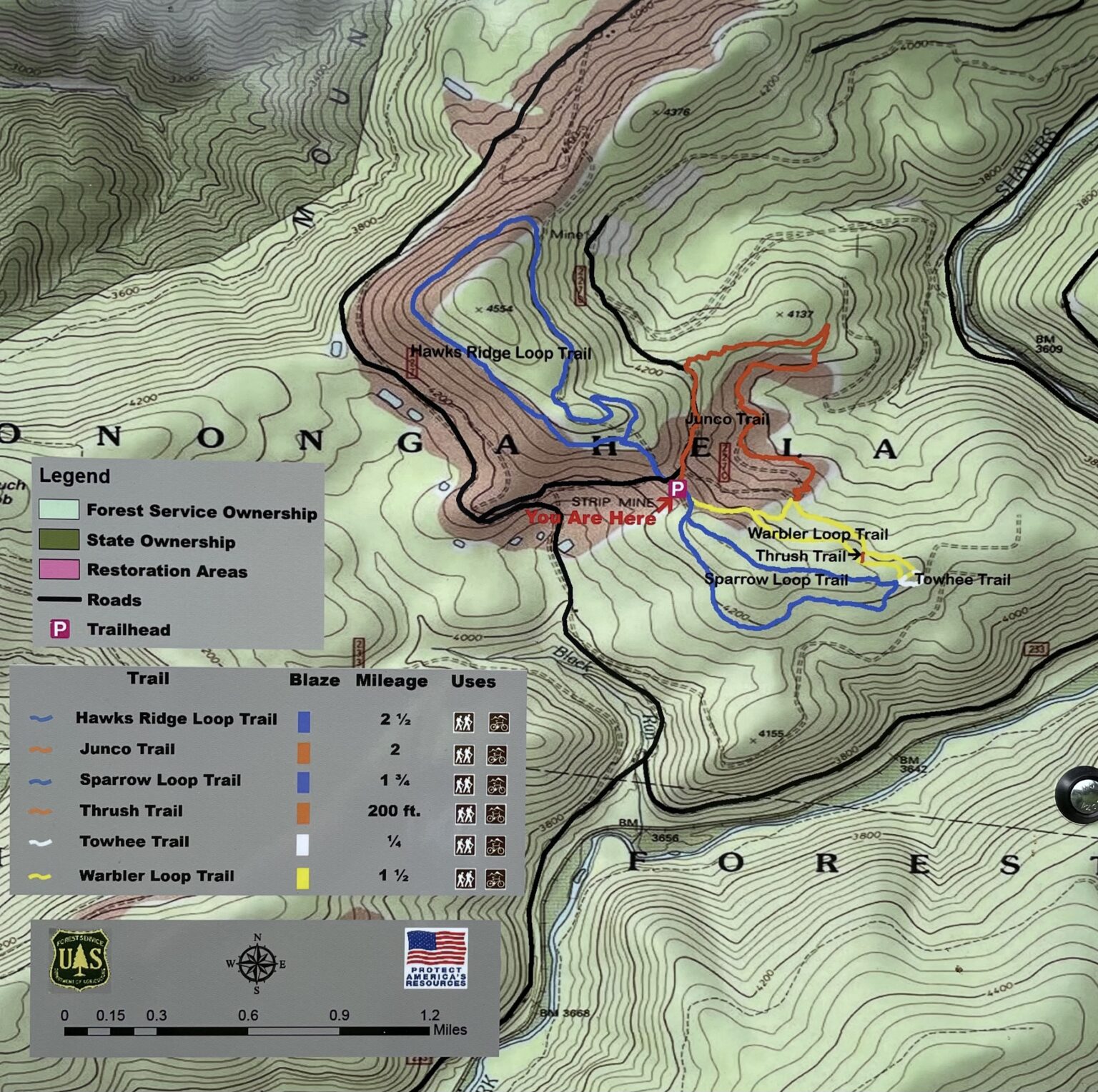 The Complete Mountain Bike Guide to Mower Tract Basin Trails - Elkins ...