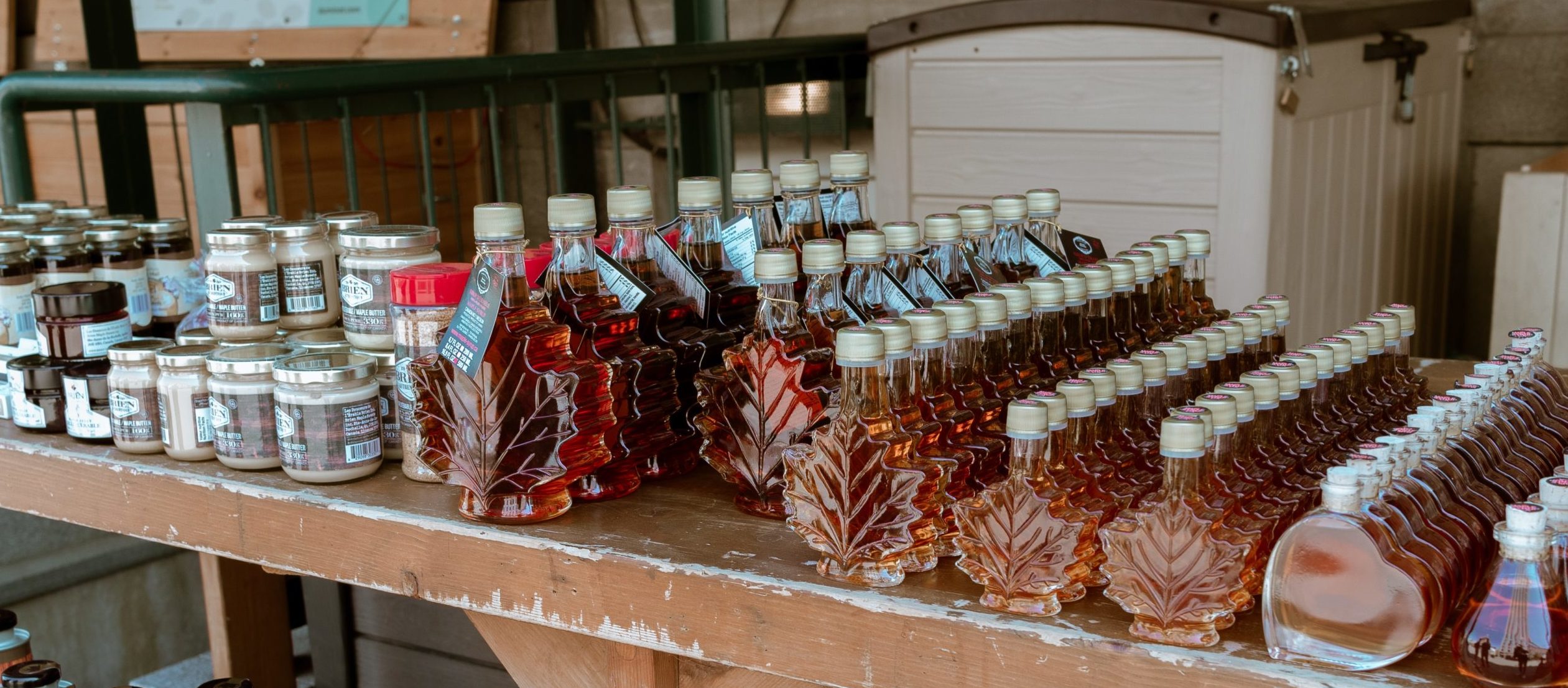 maple syrup tourism